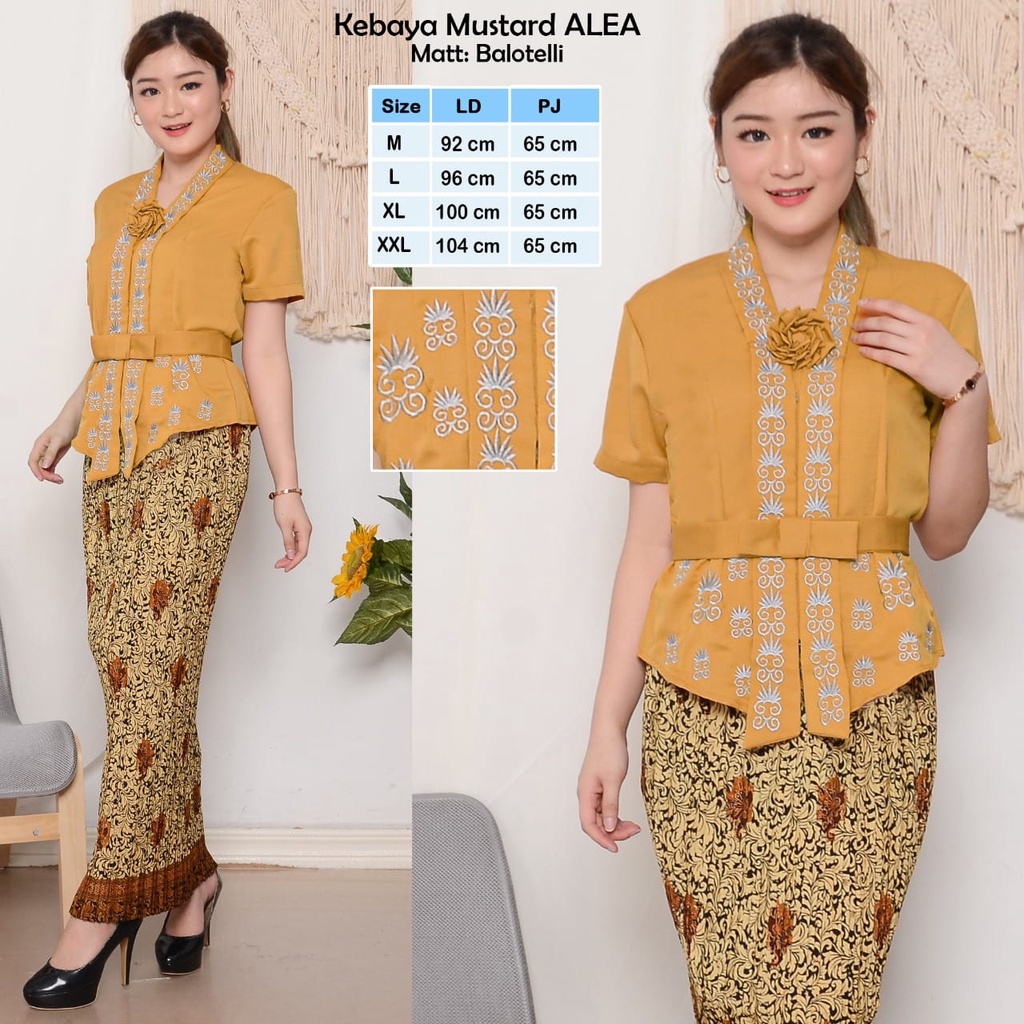 Terbaru Kebaya  Encim Modern Bordir ALEA Lengan Pendek