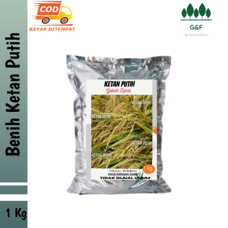 Bibit Padi Ketan Putih Kemasan 1 Kg