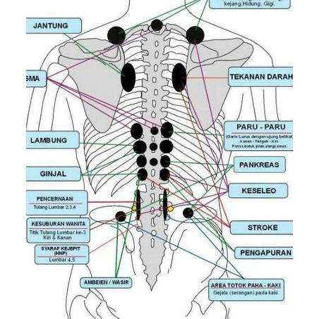 Alat Kesehatan Totok Punggung Refleksi Pijat