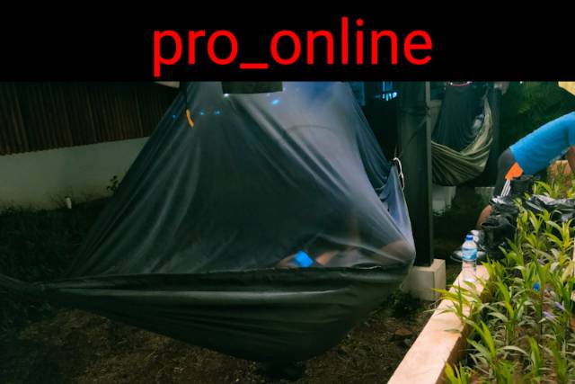 Hammock Kelambu Anti Serangga - Tempat Tidur Gantung - Ayunan Pohon - Hamock - hamok