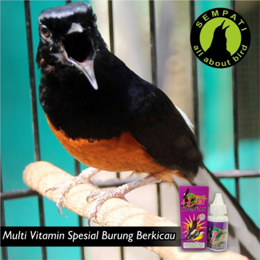 Prebiotik Kicauan Alami Bird Care Vitamin Burung Meningkatkan Daya