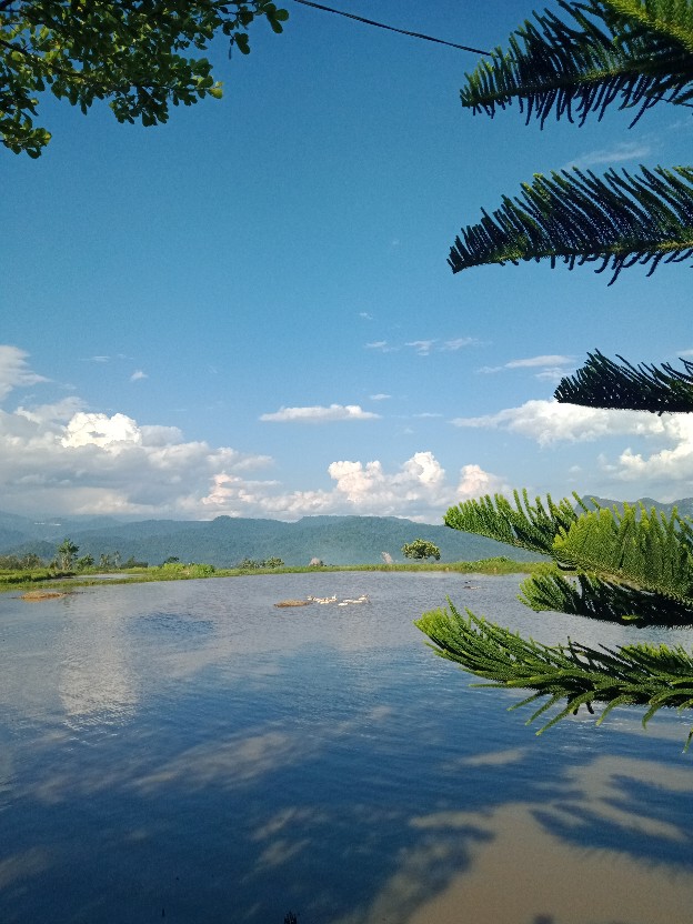 Baju Batik Pria Gus Azmi Syubbanul Muslimin Batik Katun Halus Hadroh Azzahir Hilwa Ala Santri Modern