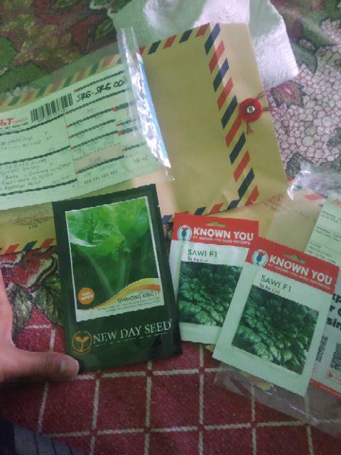 Benih Sayur Sawi Pagoda Ta Ke Cai 5gr