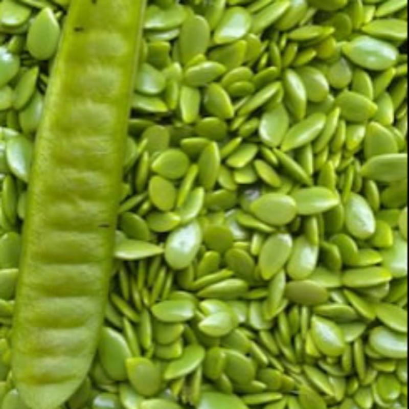 

Pete cina - per pack