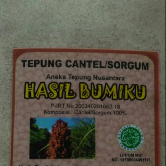 

TEPUNG SORGUM MERAH