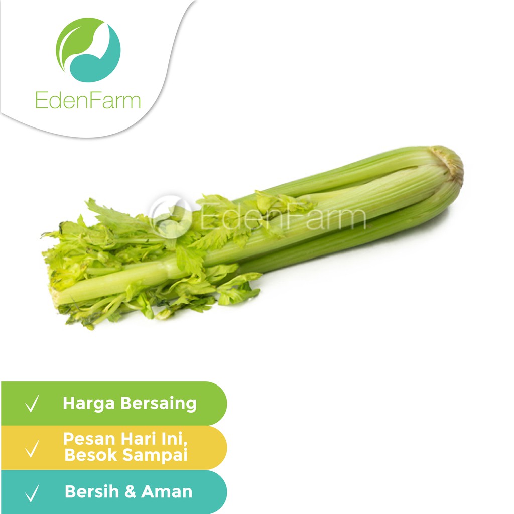 

Seledri Stick Import (0 7 - 1 kg/pack) Eden Farm