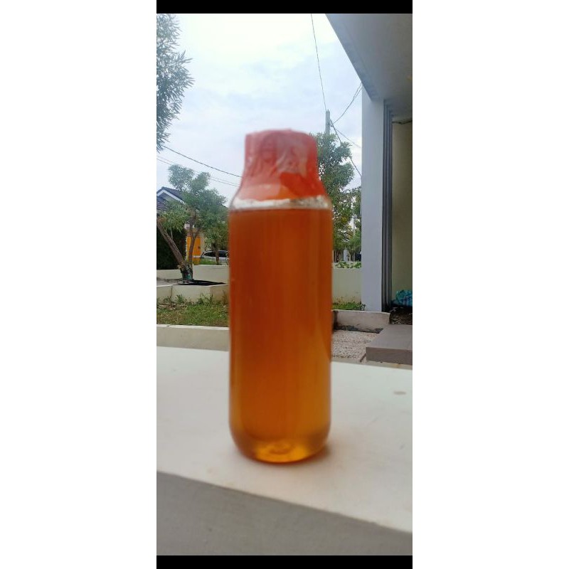 

Madu Asli Bunga Randu 600ml