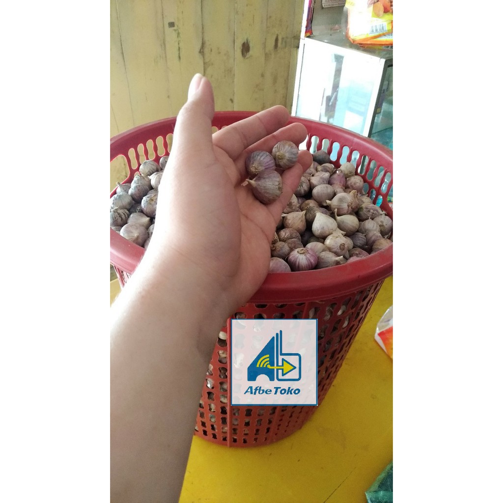 Bawang Putih Lanang Tunggal Stamina Pria Wanita 500 Gram 1 2 Kg 5 Ons Lelaki Hor Mon Sehat Shopee Indonesia