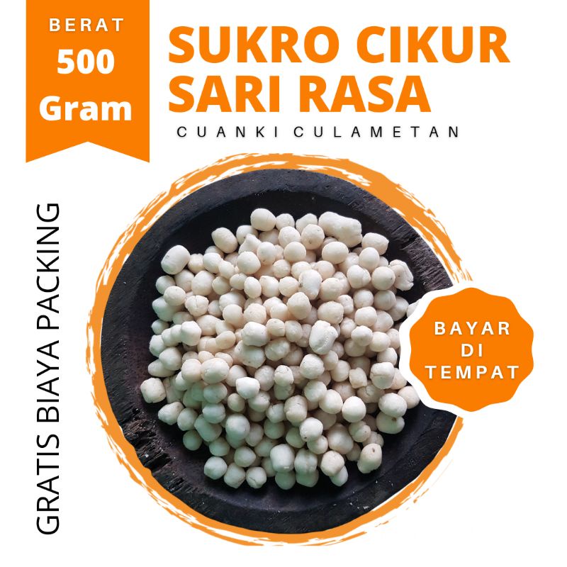 

Pilus Kencur SUKRO CIKUR murah 500 gram Sari Rasa toping baso Aci