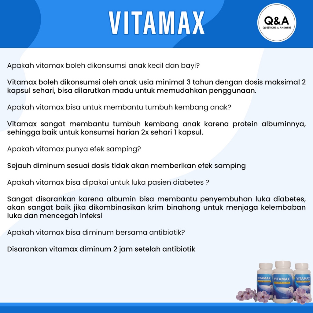 Kapsul Vitamax Ikan gabus Ikan Kutuk Albumin Alami isi 90 kapsul