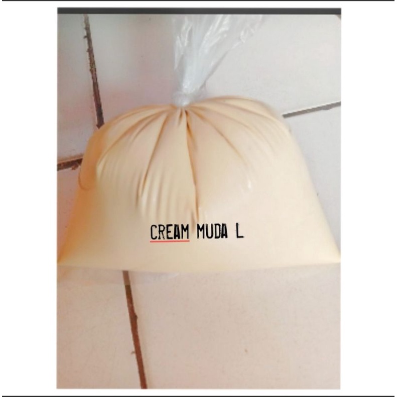 Cat tembok kiloan cat dinding 1kg termurah