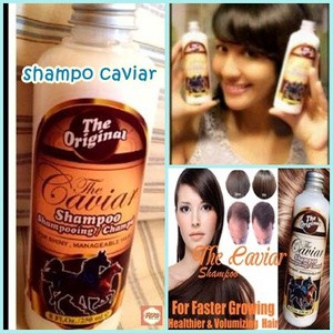 Caviar Shampoo / Shampoo Kuda 250ml ORIGINAL