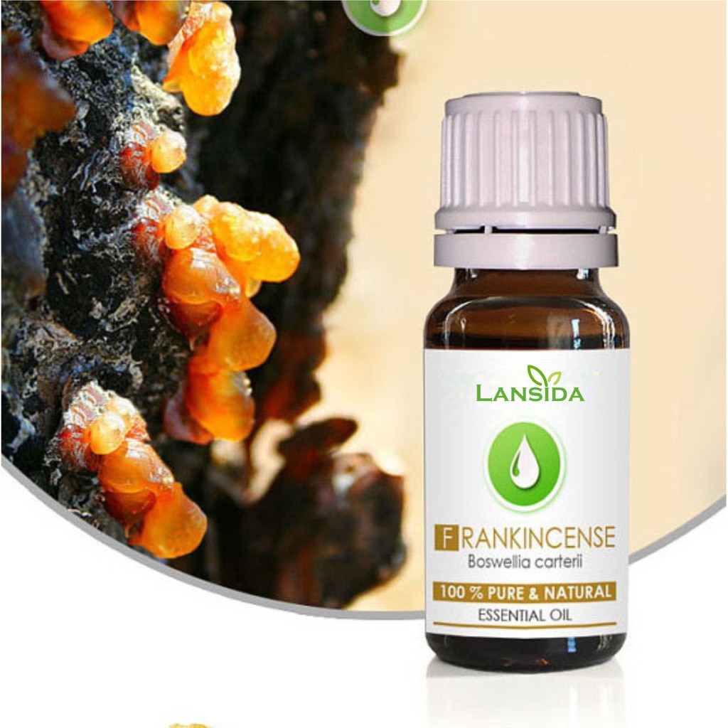 Frankincense Essential Oil 25 ml Minyak Kemenyan Boswellia