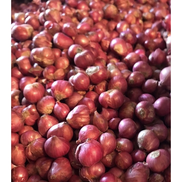 

bawang merah bersih (@agenbawangbjm)
