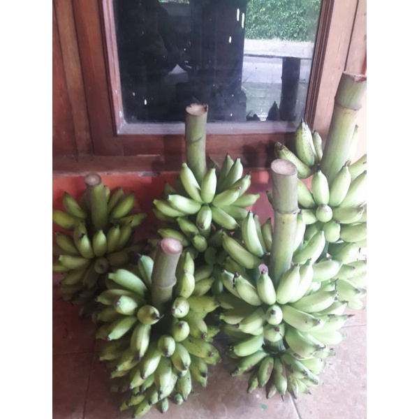 

Pisang morlin per sisir 9000