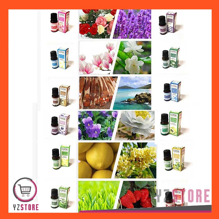 Essential Oil Aroma Terapi Aromatherapy Pengharum Ruangan Pure Diffuser 10ml YZ69