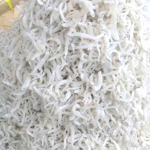 

ikan teri nasi medan 1kg termurah