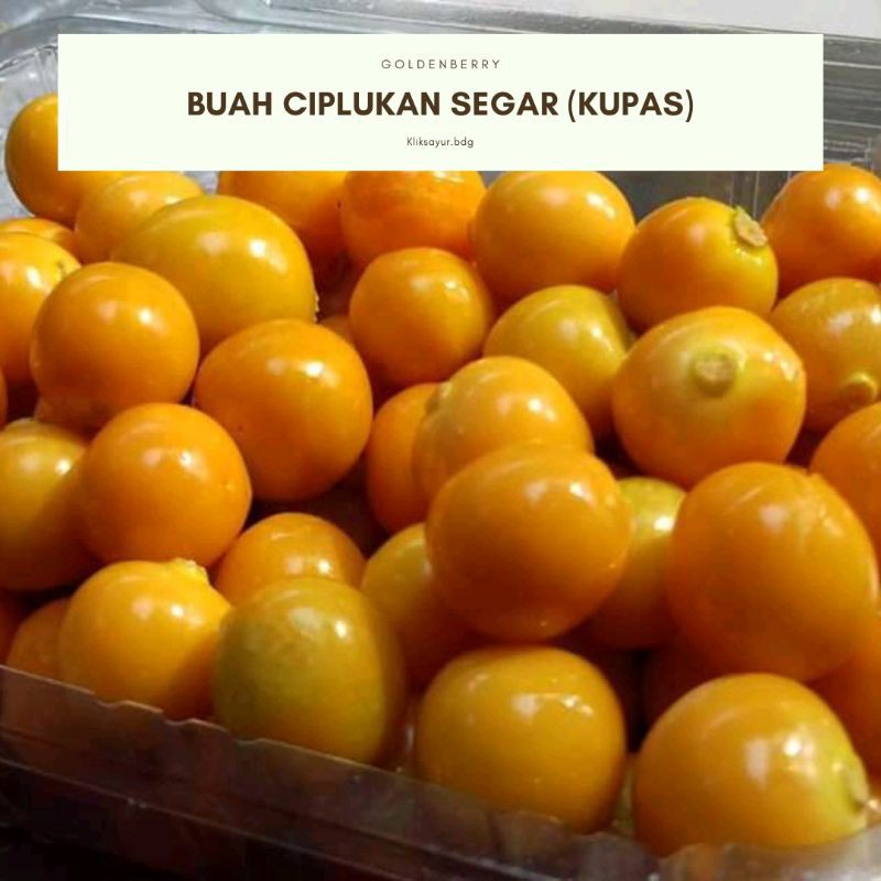 

jual buah ciplukan kupas non cangkang 500gr