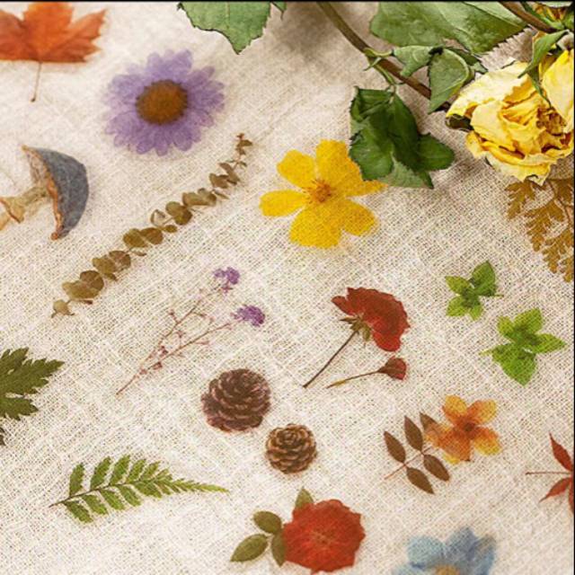 

stiker transparant | stiker scrapbook | stiker packing