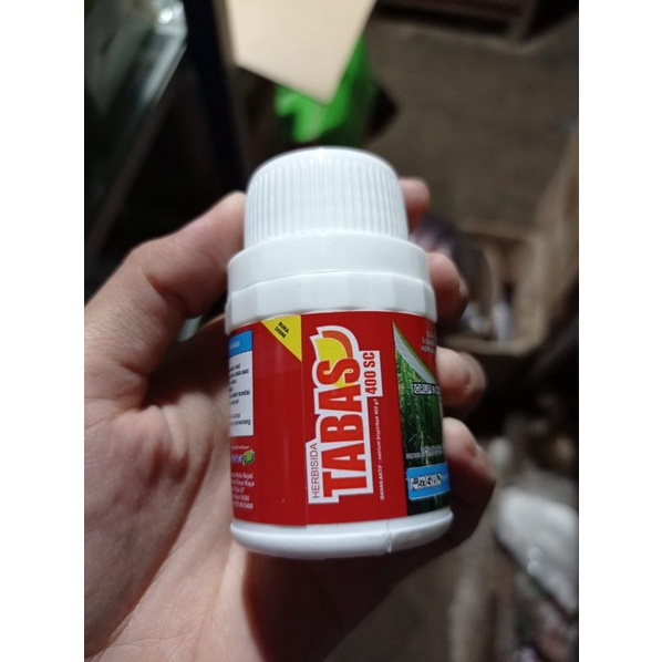 tabas obat rumput padi