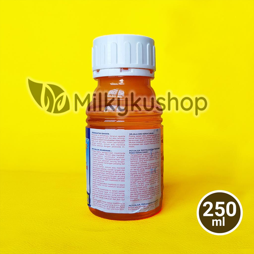 WINDER 100 EC 250 ML INSEKTISIDA ANTI KUTU PUTIH HAMA