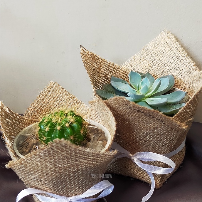 

Bungkus Kado - Bucket Goni