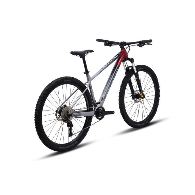 Sepeda Gunung Polygon Xtrada 5