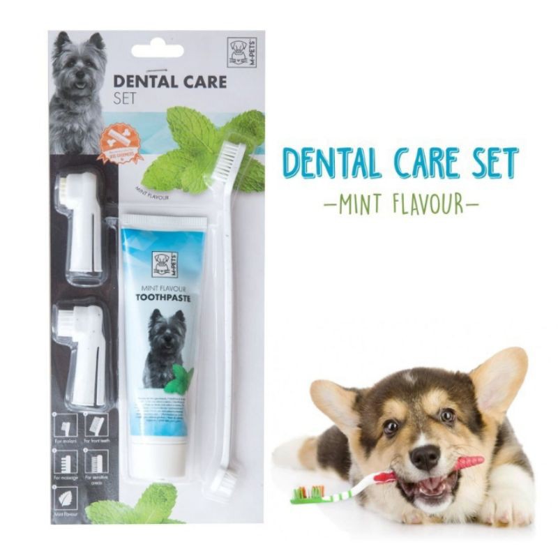 M-Pets Dental Care Set Toothpaste / Pasta gigi Anjing / Sikat Gigi Set