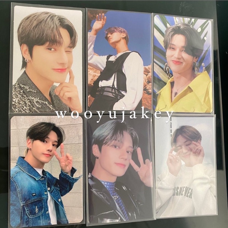 wooyoung muplant bundle (booked)