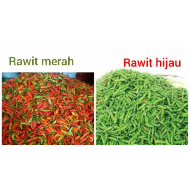 

PROMO! Cabe Rawit Merah dan Cabe Rawit Hijau READY SETIAP HARI