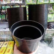 6 PCS POT 15CM HITAM-GROSIR POT BUNGA PLASTIK TERMURAH