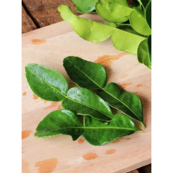 

Daun Jeruk 100gr