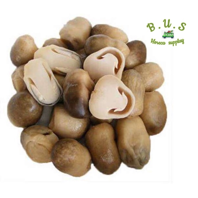 

Jamur Merang 1 Kg B.U.S