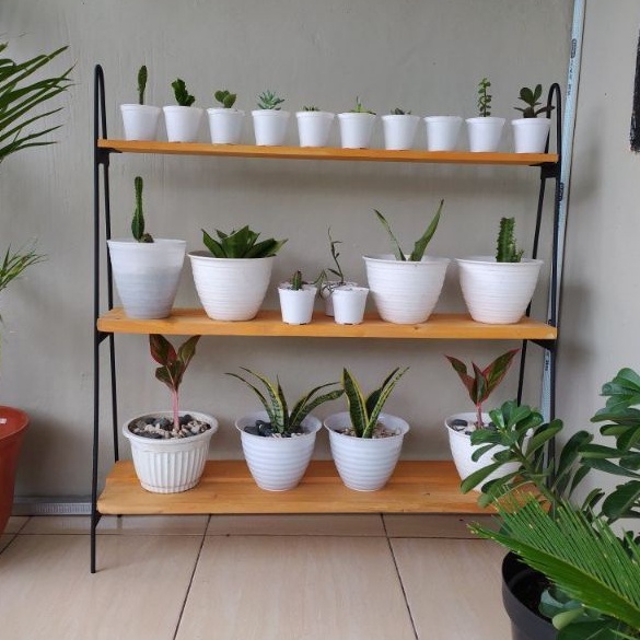 ✨TERLARIS✨ Standing Pot 3 Susun/Rak Bunga 3 Susun/ Rak Kayu/ Rak serbaguna