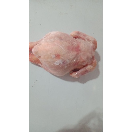 

ayam utuh 1000 gram 40.000/kg