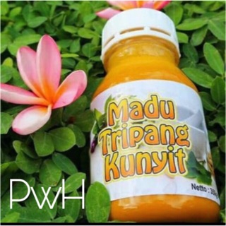 Madu Tripang Kunyit Herbal Membantu Mengatasi Maag Gerd Bisa Cod Indonesia