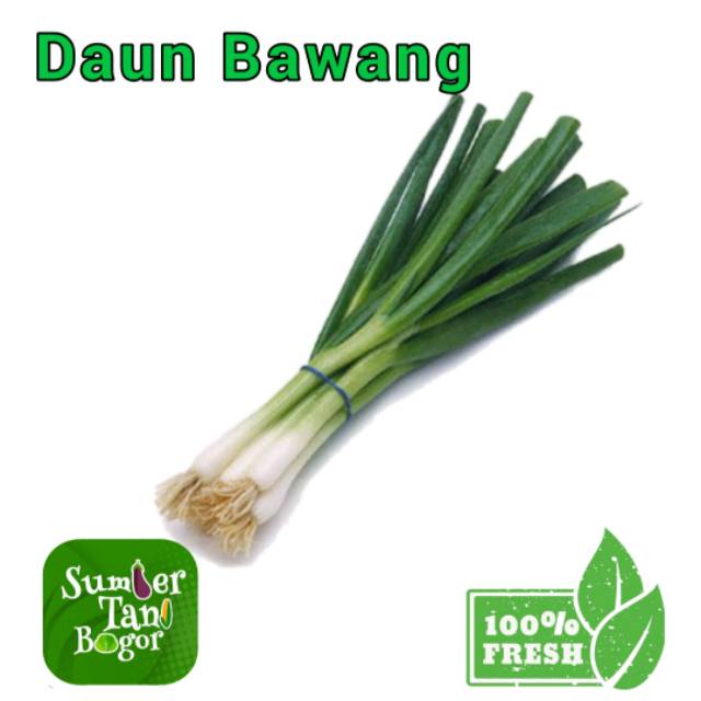 

BAWANG DAUN/ DAUN BAWANG PER 500 GRAM