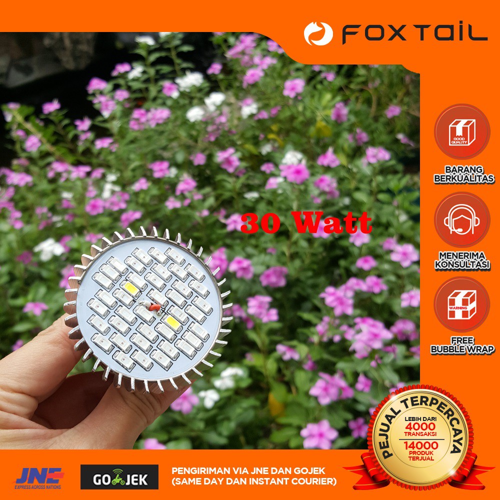 Foxtail 30 Watt Grow Light Full Spectrum Hidroponik