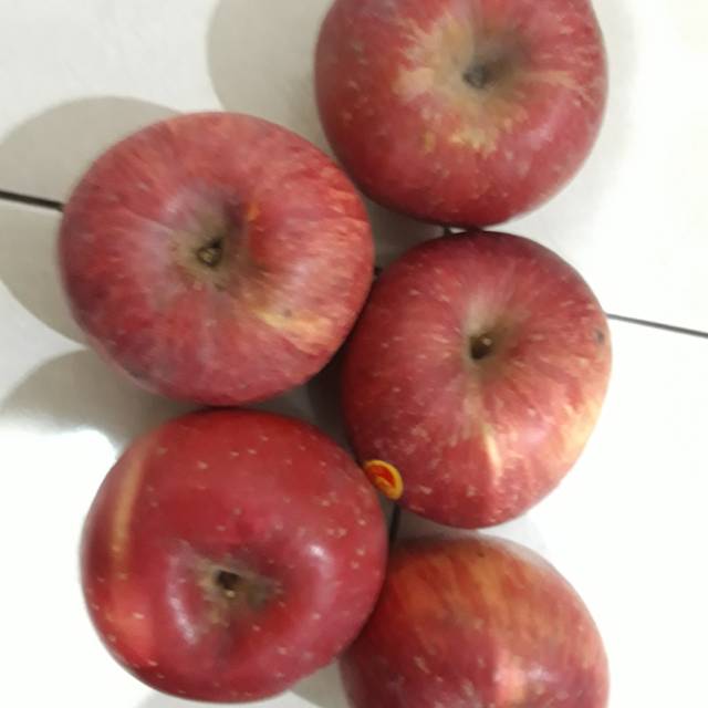 

Apel fuji|apel fuji bandung|apel fuji bandung|buah segar|buah segar bandung