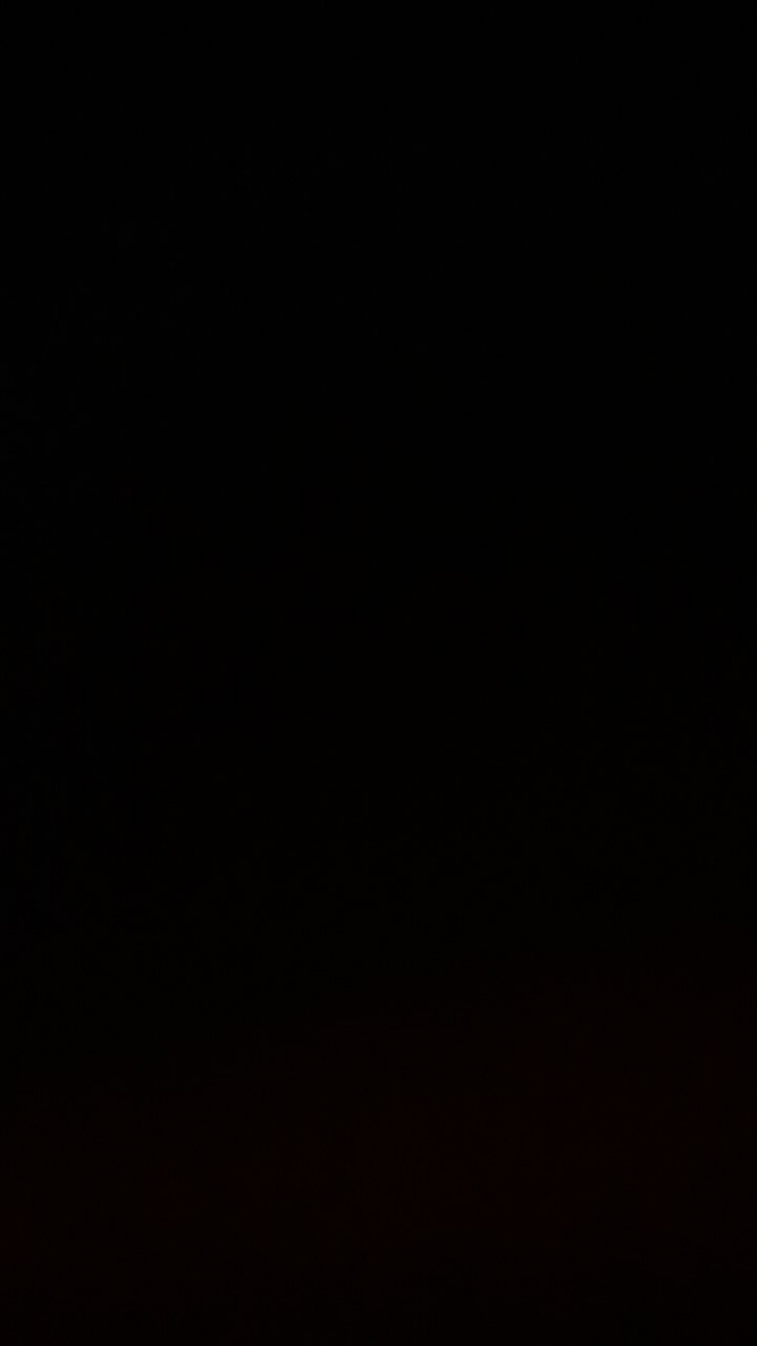 Kuali / Wajan Harden Stainless Steel 40cm Golden Flying Fish