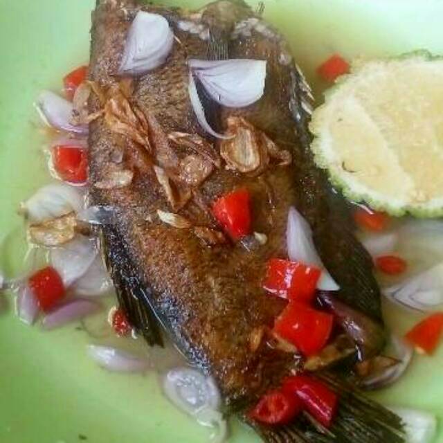 iwak wadi
