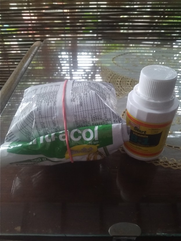 (cod) Fungisida Antracol 70 Wp Kemasan 250 Gram