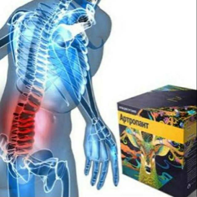 Cream Artropant Asli Krim Nyeri Sendi Obat Tulang Murah 100% Original