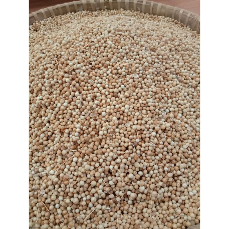 

Ketumbar Bulat / ketumbar utuh / ketumbar asli / 100 gram