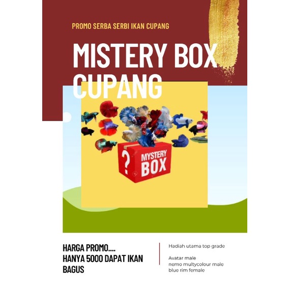 mistery box cupang Avatar, Nemo,HM,CT,blue Rim