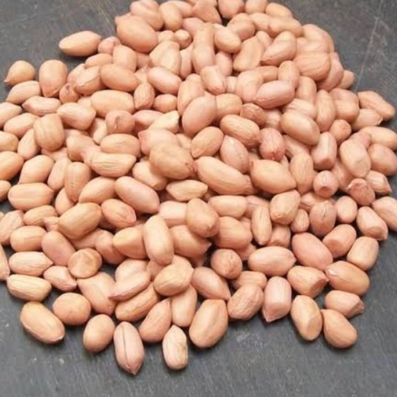 

PEANUTS / KACANG Tanah - 500g
