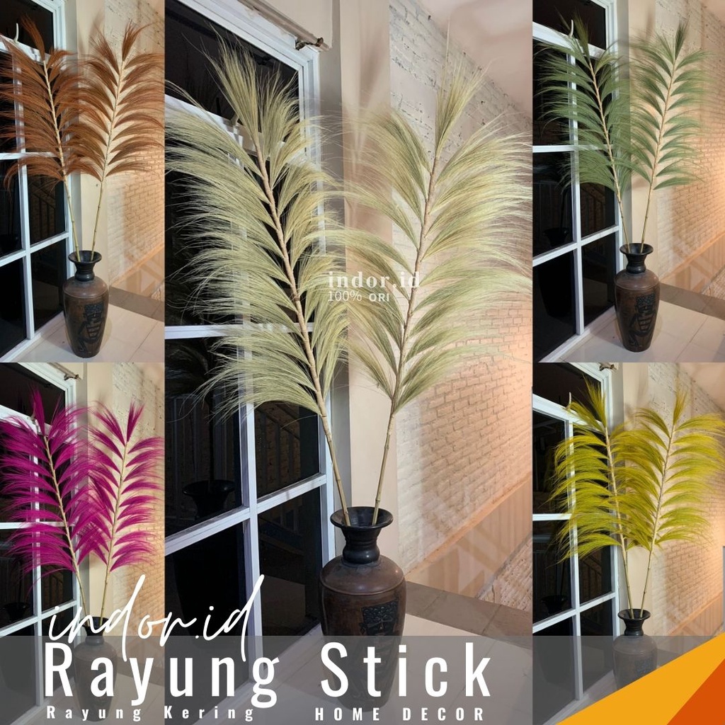 indor.id Rayung KERING - RAYUNG Panjang - Rayung NATURAL - Rayung RUSTIC Dekorasi