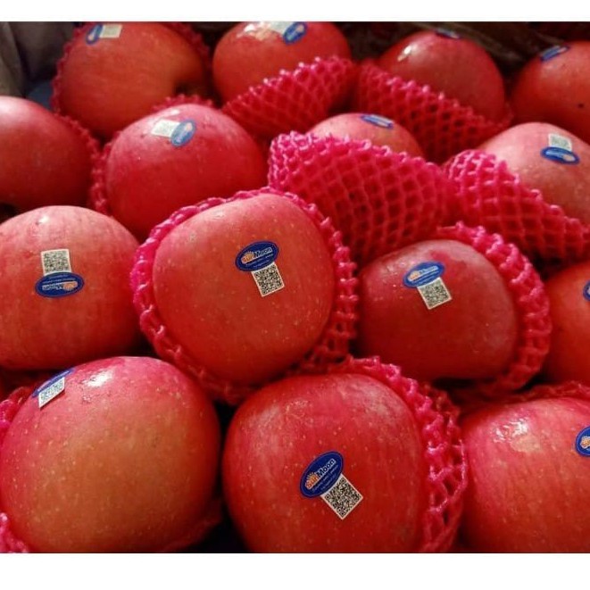 

Apel Fuji Buah Segar