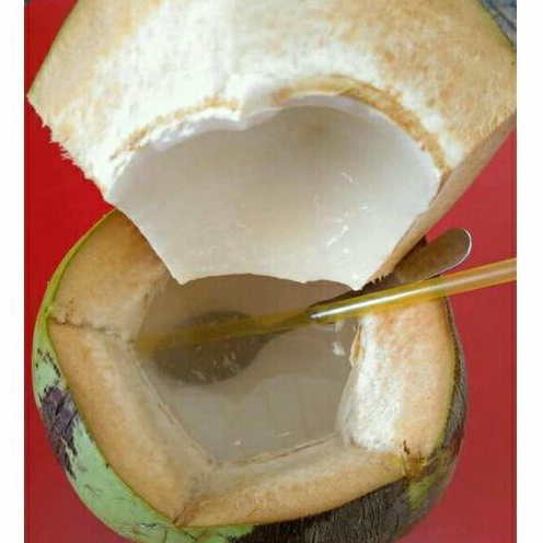 

Kelapa Muda Kelapa Degan