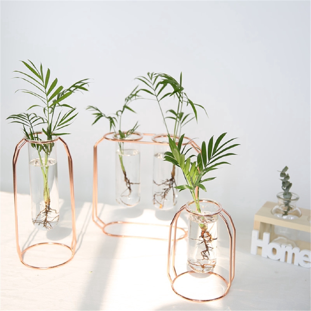 Botol Kaca Pot Tanaman Hidroponik Terrarium Shopee Indonesia Botol Kaca Pot Tanaman Hidroponik Terrarium Shopee Indonesia